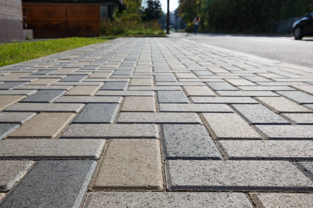 Best Driveway Paving Company  in Wayne, WV